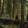 Old Salmon River Trail