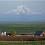 Hwy 97 Farm