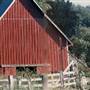 Myrtle Point Farm