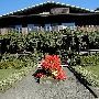 Henry Estate Winery - Umpqua