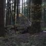 Silver Falls State Park