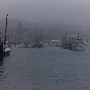 Newport, City of