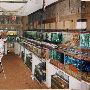 Don's Tropical Pet Center
