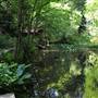 Audubon Society of Portland