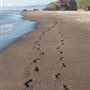 Winema Beach