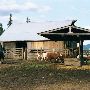 Triangle 5 Ranch