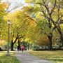 Drake Park (Bend)