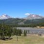 Mt. Bachelor Summer