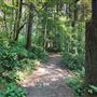 Silver Falls State Park