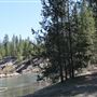 La Pine State Park: Big Pine