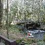 Shotgun Creek Bridge
