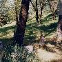 Granite Hill Cemetery