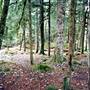 Lost Creek Campground