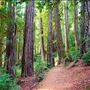 Loeb State Park