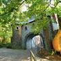 Enchanted Forest