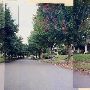 NE Floral Place