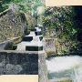 North Scappoose Creek Fish Ladder