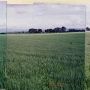 Yoder Property