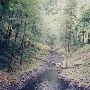 Silver Falls State Park