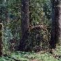Oxbow Park