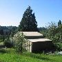 House #10004974