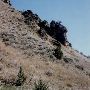 Cave Creek Cliffs