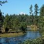 Metolius River