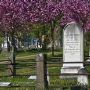 Mount Hope Pioneer Cemetery