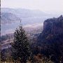 Columbia Gorge fall colors