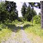 Forest Park Lots