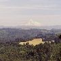 Jonsrud Overlook