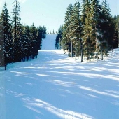 Willamette Pass Ski Area