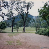 2123 Riverbanks Road