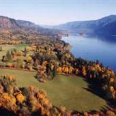 Columbia Gorge fall colors