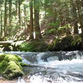 Little Zig Zag falls