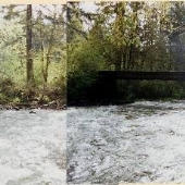 Scotts Mills Property #3