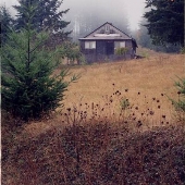 Sellers & Green Mountain Road Forests