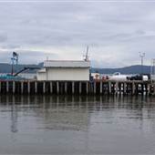 Wilcox and Flegell Oil Company