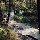 Champoeg Creek