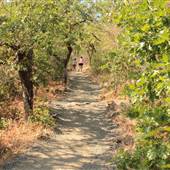 Lower Table Rock Trail
