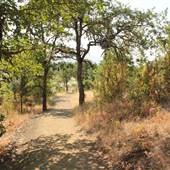 Upper Table Rock Trail