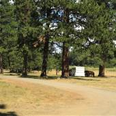 Lily Glen Equestrian Park