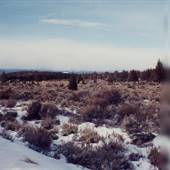 Tumalo Sideroads - Tumalo
