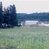 Cedar Canyon Road Farm