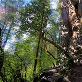 Madrone Wall climbing/bouldering