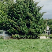 Trailer House and Barn on Mountainview Drive