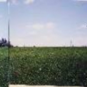 SW Pacific Drive Farm