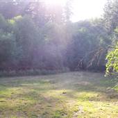 Deadwood Ranch & Lodge