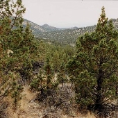 Hidden Canyon