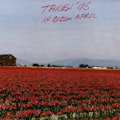 Tulip Field